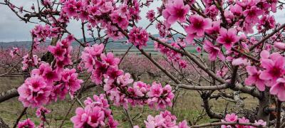 Прикрепленное изображение: IMG_20230408_151532.jpg